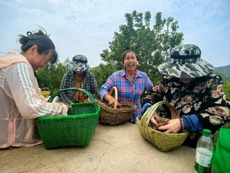 1200亿元深耕中原!中国人寿助力河南区域经济高质量发展