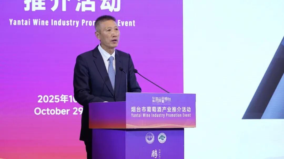 从《双珠联璧闯上海》看民族品牌如何驰骋世界舞台