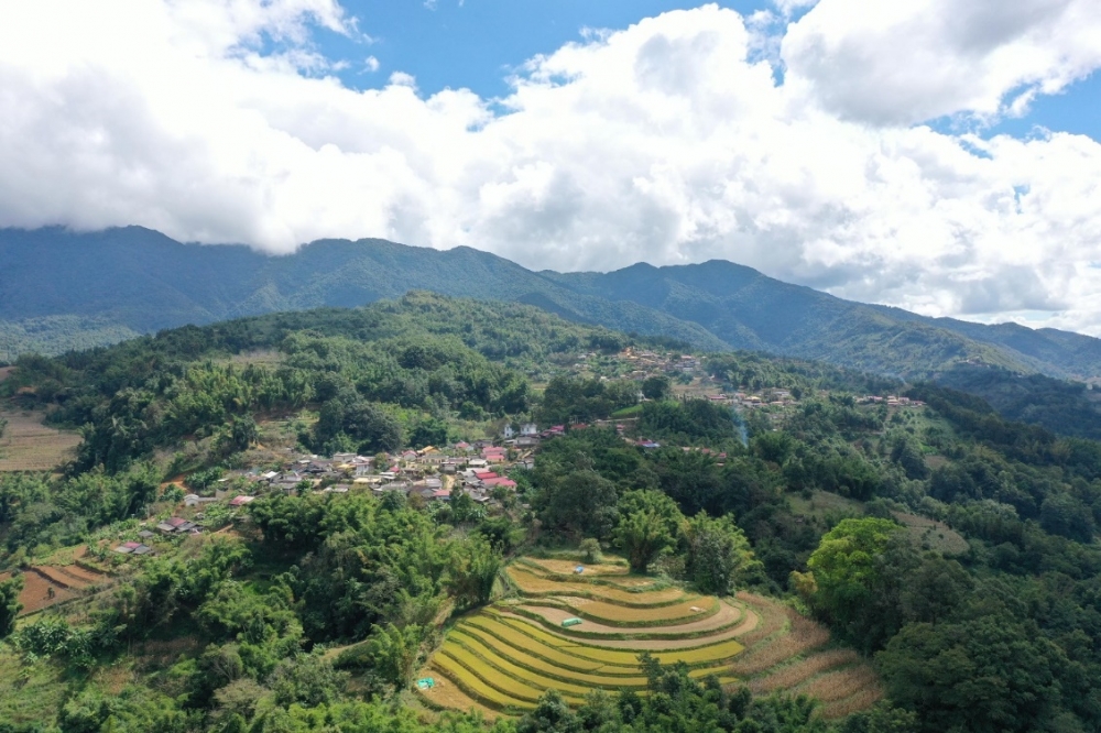 佤山幸福路!国寿驻村书记博鳌讲述边疆振兴实践