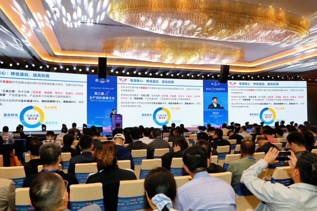 郑石轩:蛋白减量,营养不减效!粤海“三高三低”战略引领水产养殖降本增效