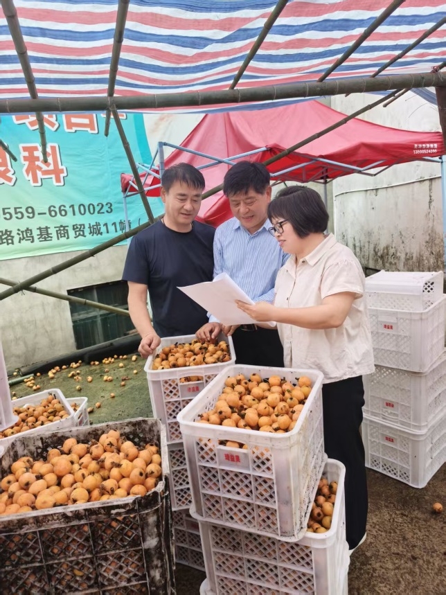 三十而立,微光成炬:千千万万国寿人的守护答卷