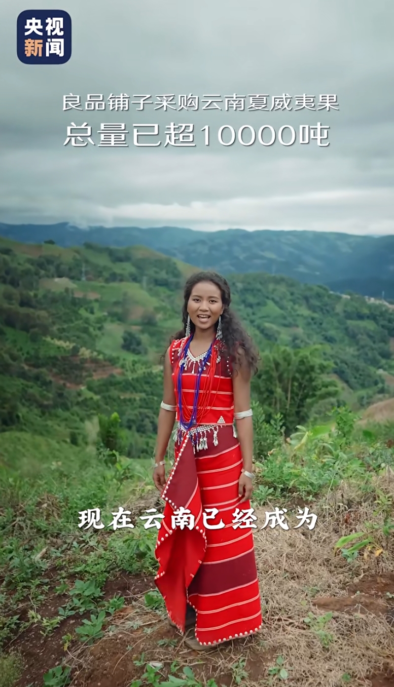 央视新闻溯源云南！良品铺子让中国坚果 “大” 有不同