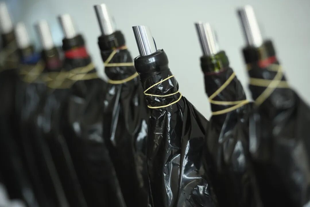 张裕龙谕获“2025拉姆·查兰管理实践奖-杰出奖”