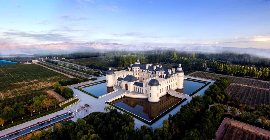 张裕龙谕获“2025拉姆·查兰管理实践奖-杰出奖”