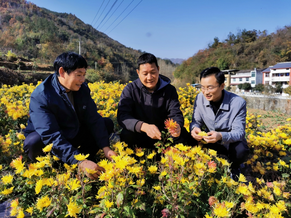 回眸2025丨将自身发展融入国家发展大局，中国人寿交出“三有”年度答卷